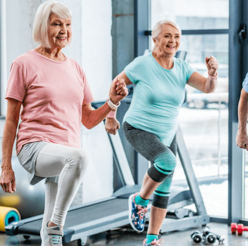 Animateur d’Activité Physique